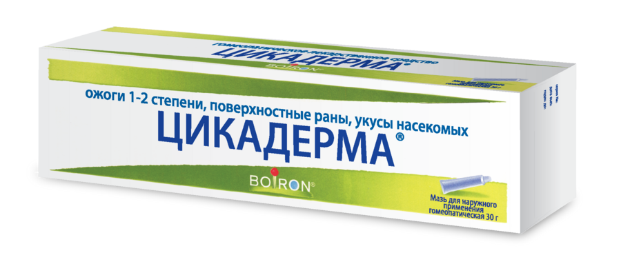 Цикадерма