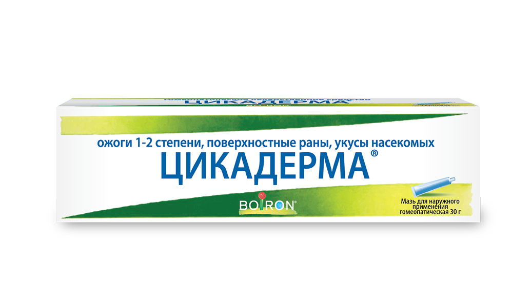 Цикадерма