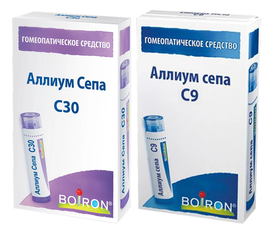 Алиум сепа