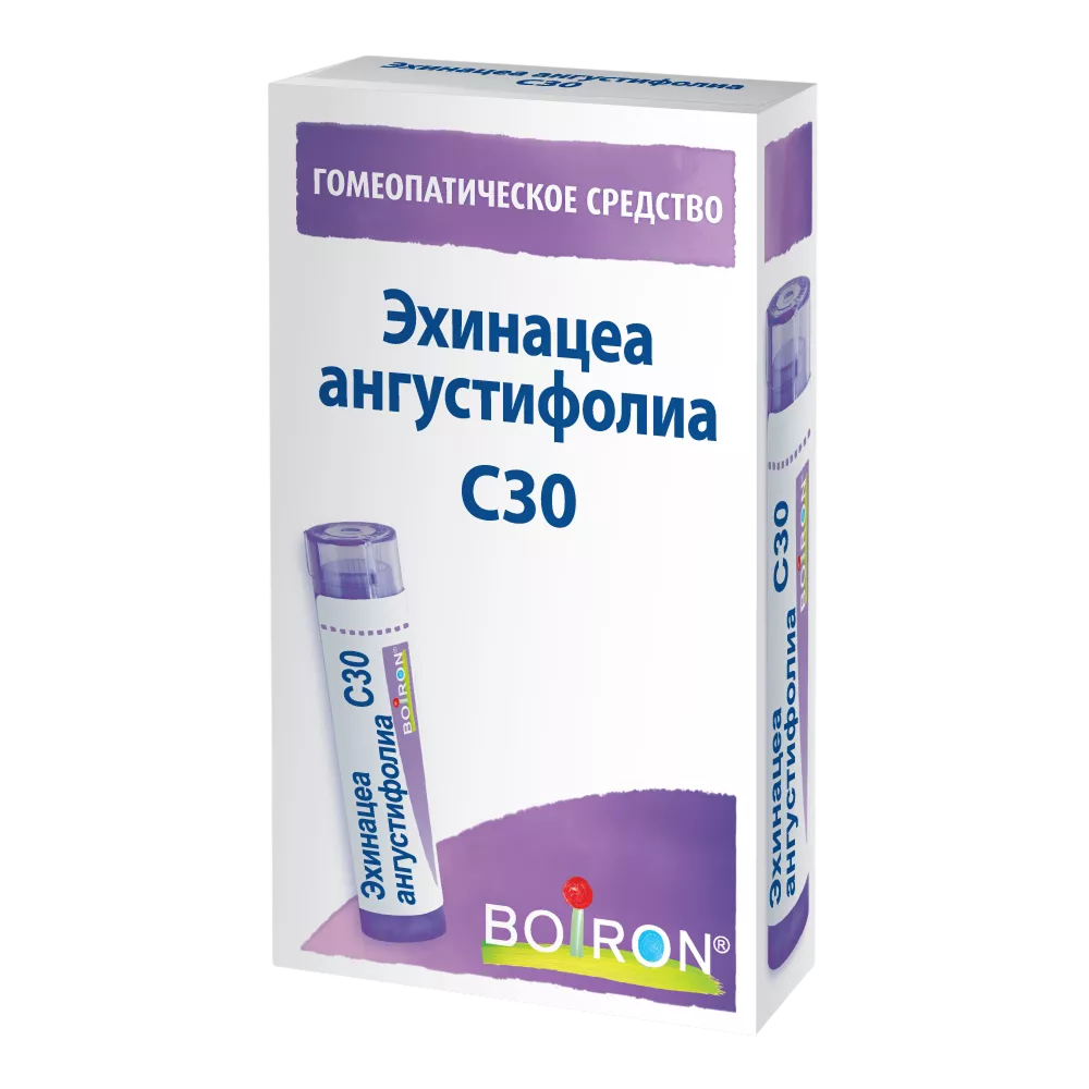 Эхинацеа ангустифолиа