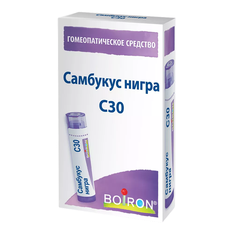 Самбукус нигра
