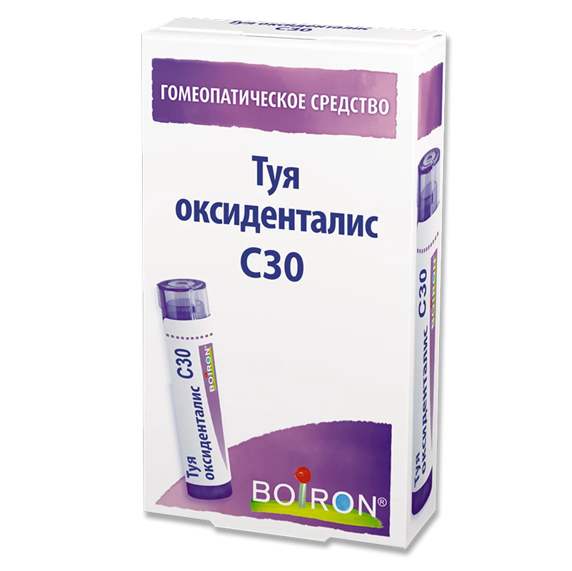 Туя оксиденталис