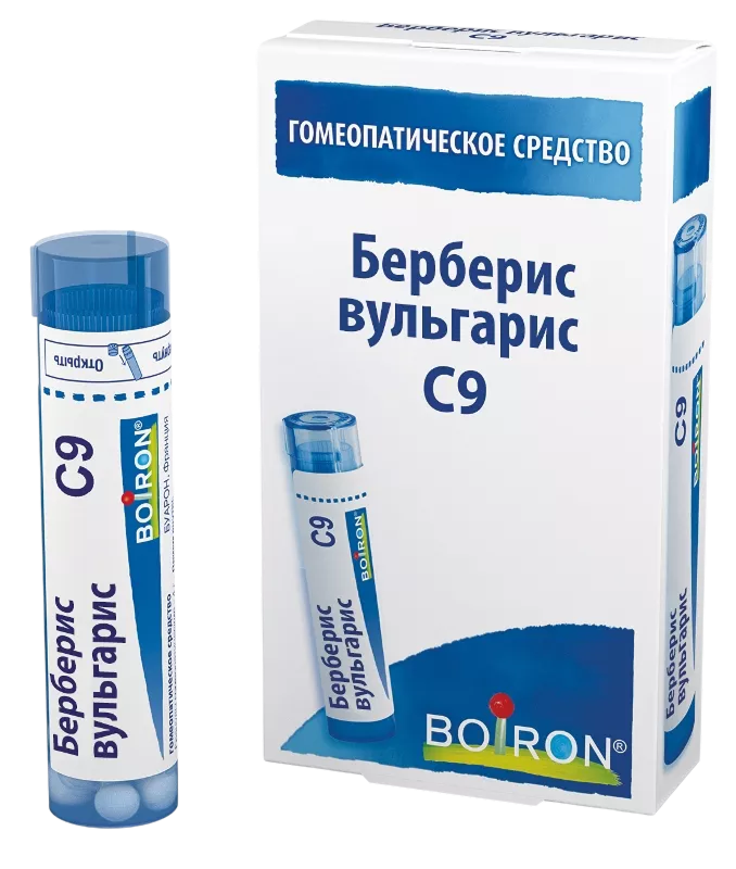 Берберис вульгарис